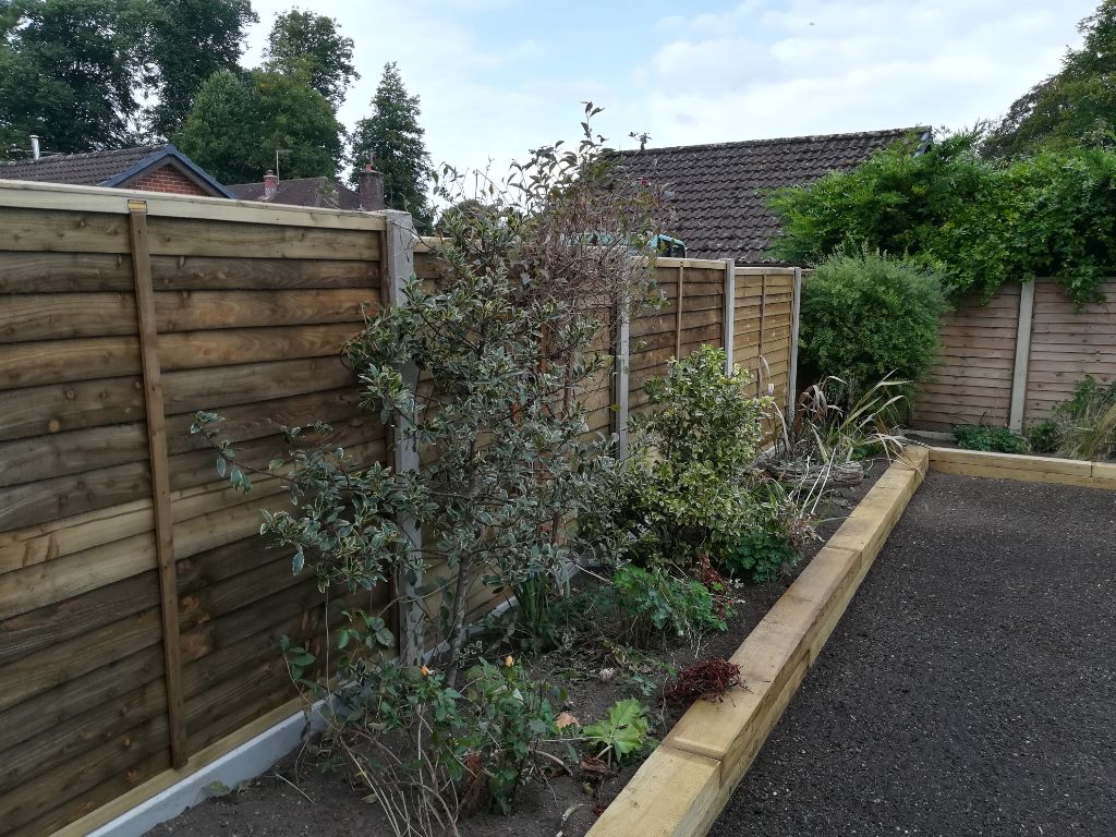 Updated garden in Blandford Dorset MSC Landscapes